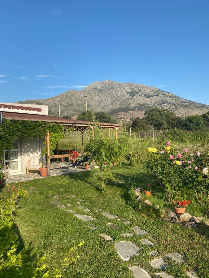 Samothraki - Sea, Mountain, Quiet Villa Exteriör bild